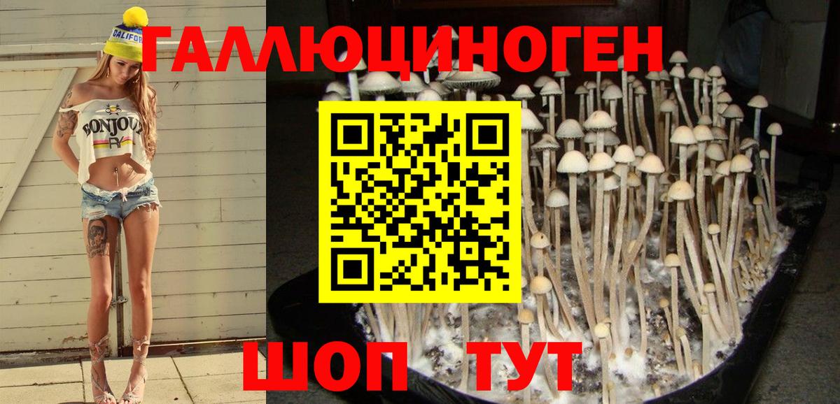 Галлюциногенные грибы мухоморы Волгодонск
