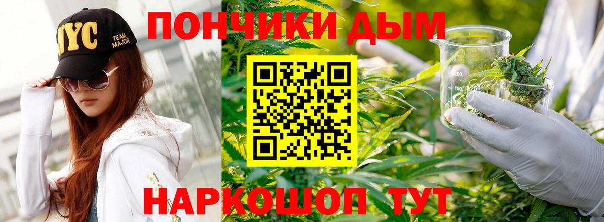 Шишки марихуана сатива Волгодонск